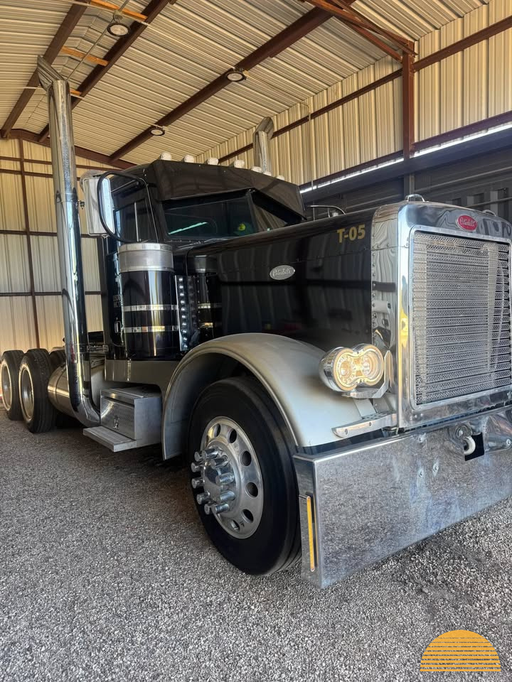1993 Peterbilt 379 ext hood photo 7
