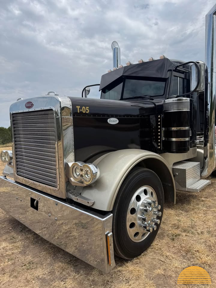 1993 Peterbilt 379 ext hood photo 2