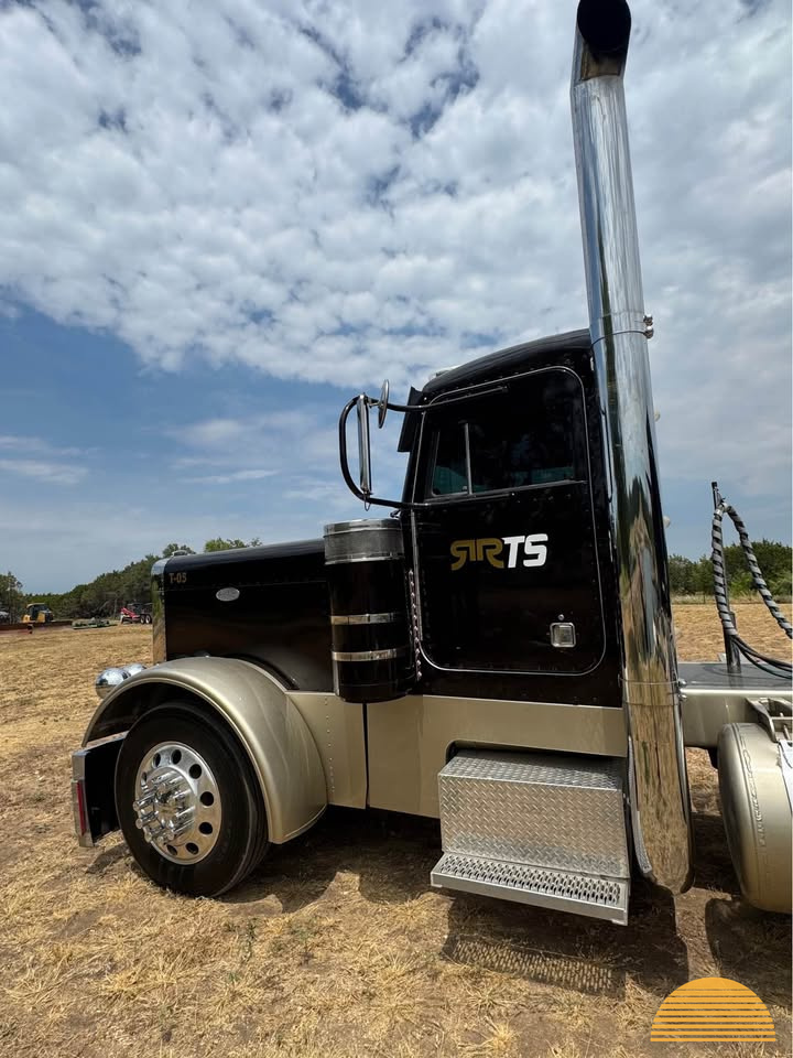 1993 Peterbilt 379 ext hood photo 6