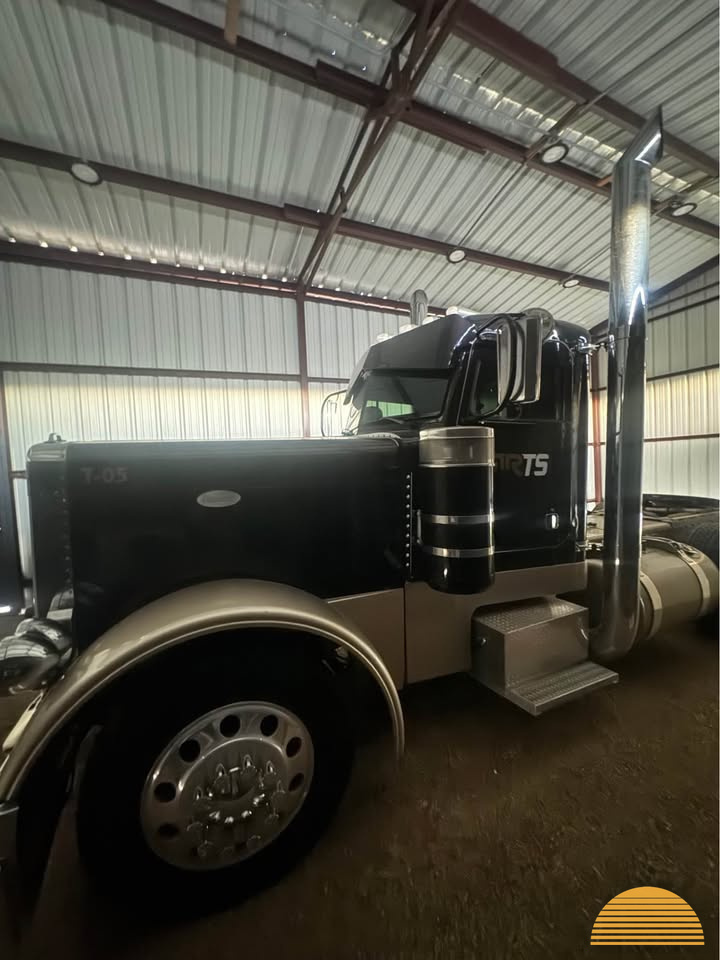 1993 Peterbilt 379 ext hood photo 12