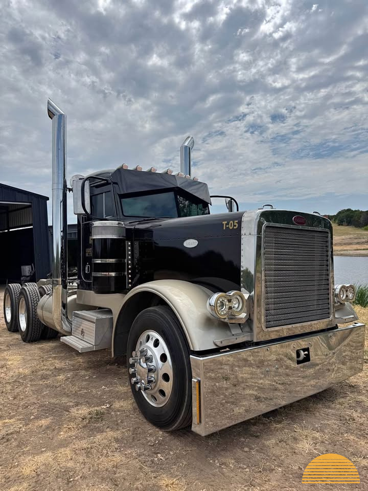 1993 Peterbilt 379 ext hood